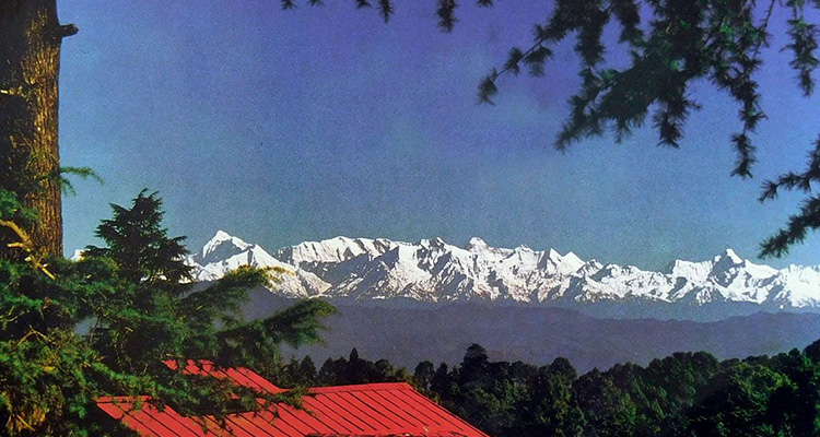 Himalayan View Point