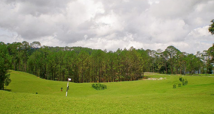 Golf Course