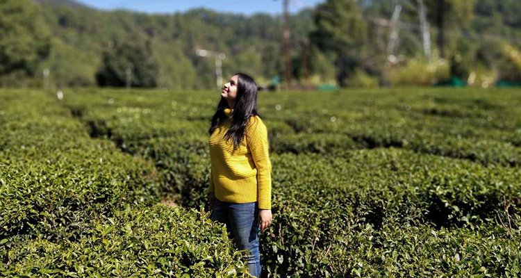 Tea Garden