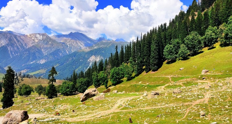 Sonamarg